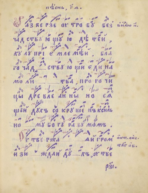 Страница 239