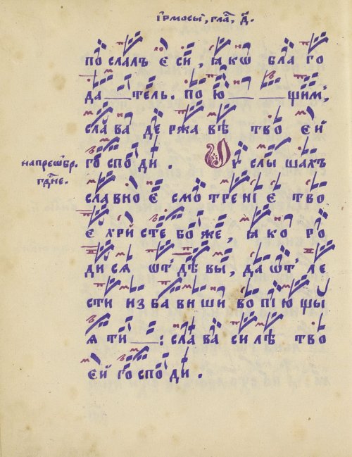 Страница 244