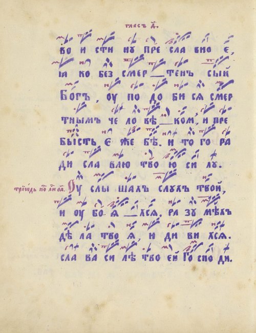 Страница 250