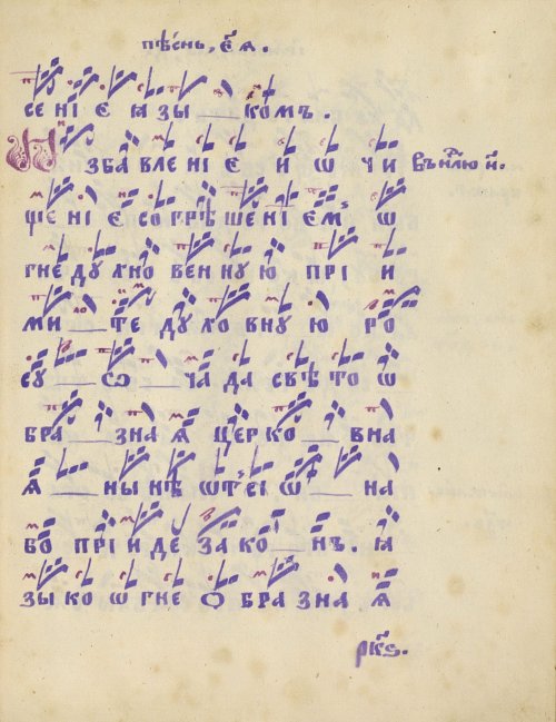 Страница 257
