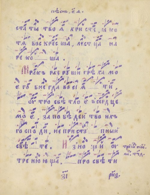 Страница 263