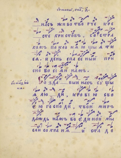 Страница 264