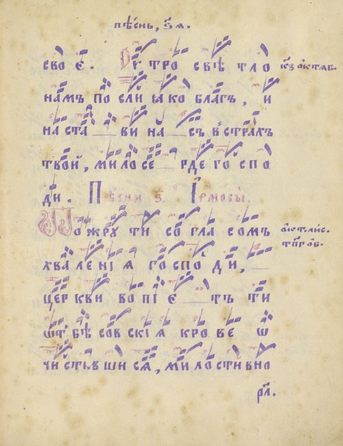 Страница 265
