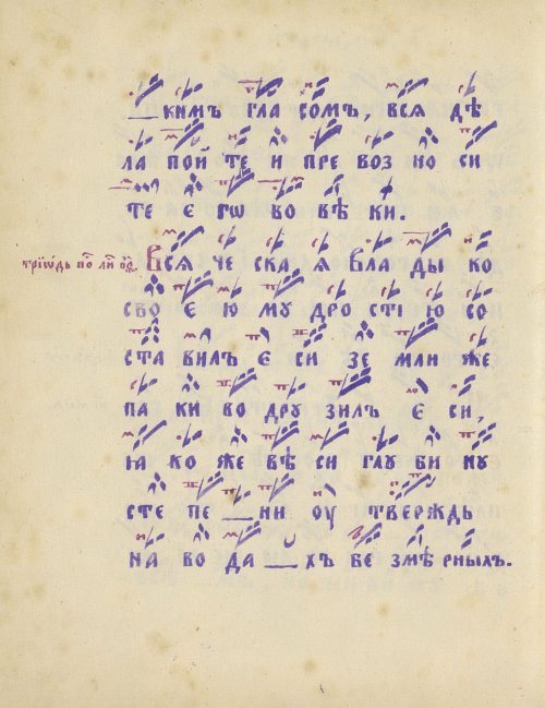 Страница 294