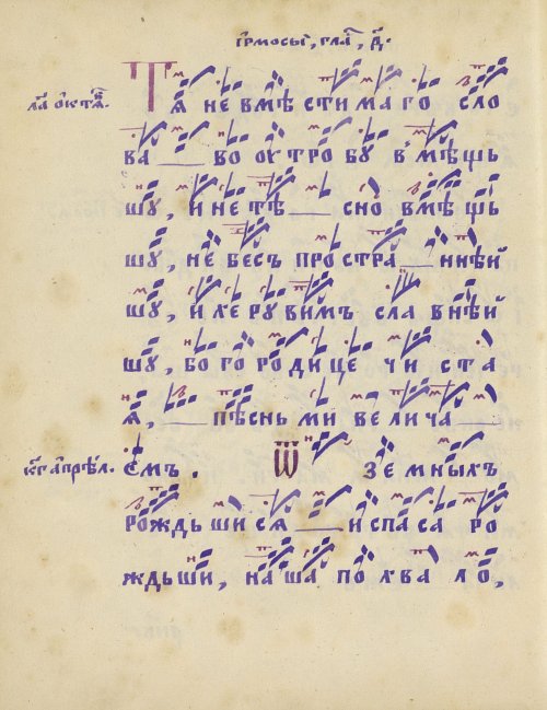 Страница 310
