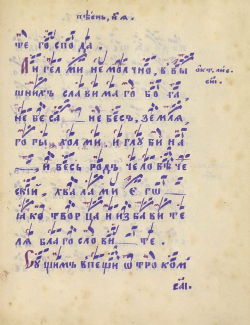 Страница 427