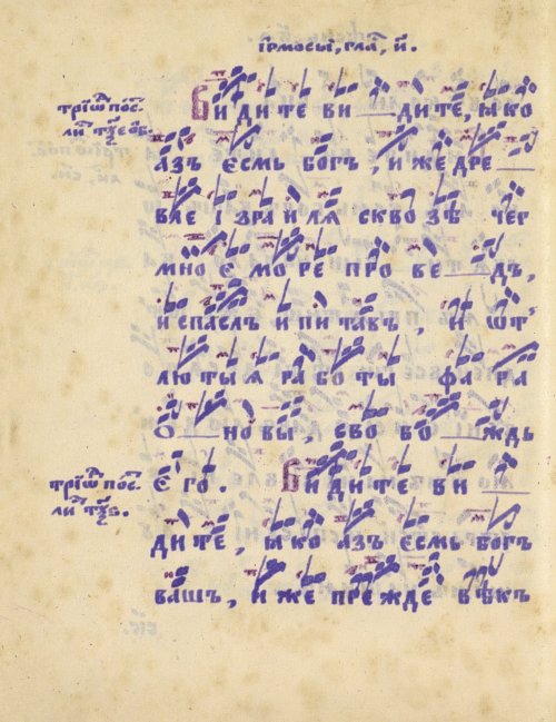 Страница 446