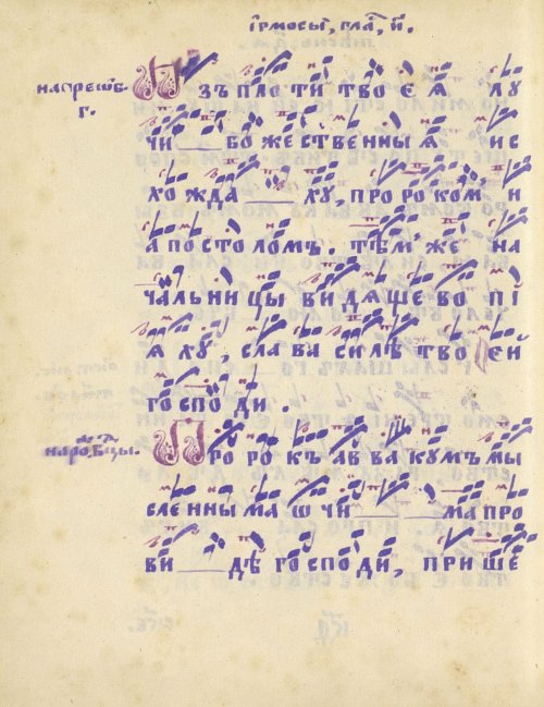 Страница 456