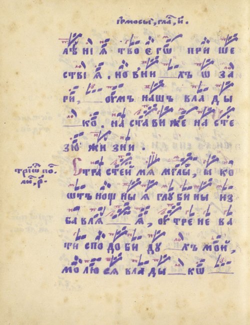 Страница 466