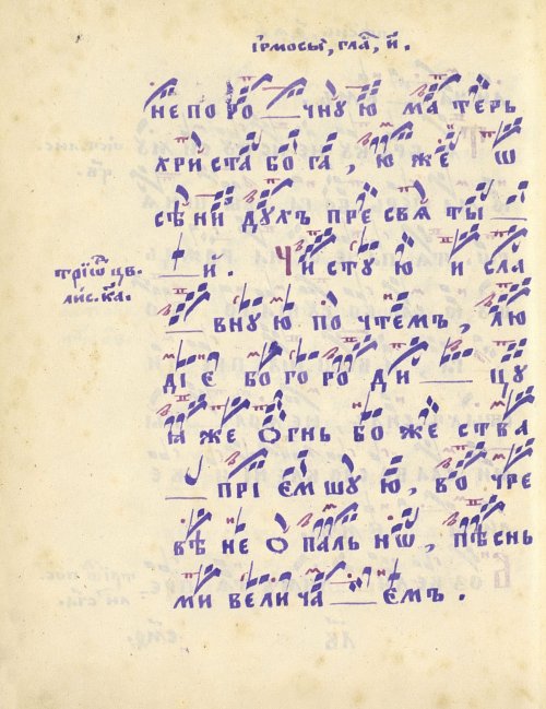 Страница 504