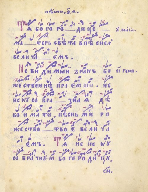 Страница 505