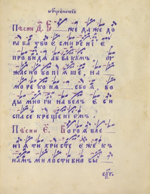 Страница 531