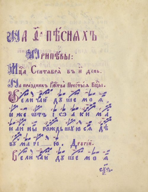 Страница 537