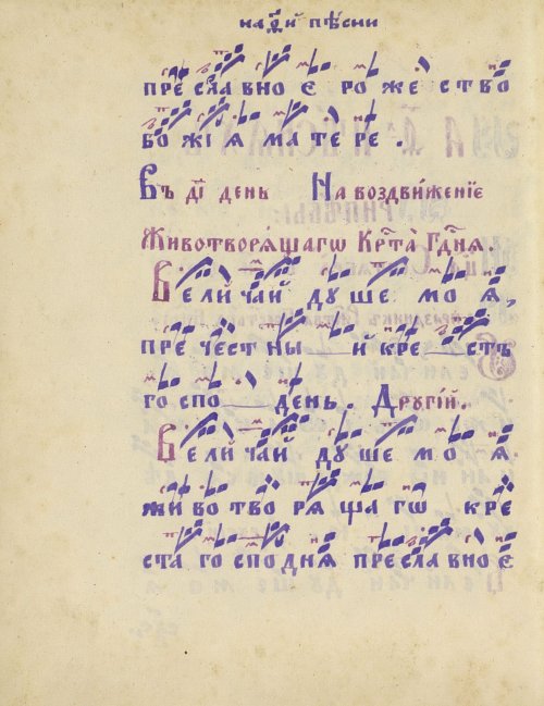 Страница 538