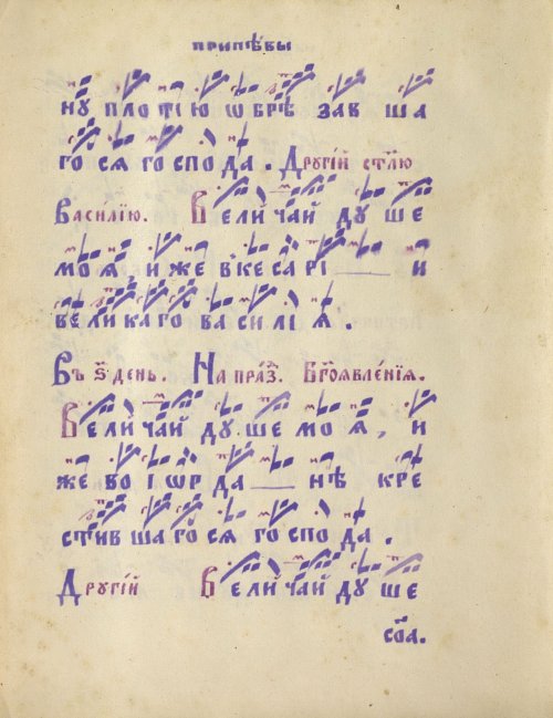 Страница 547