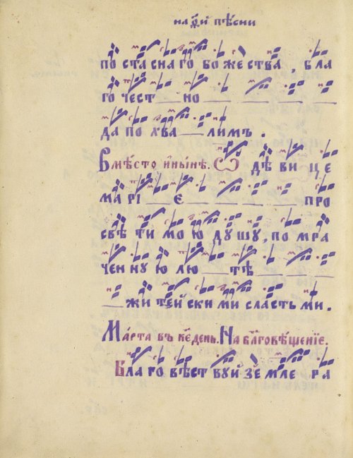 Страница 556