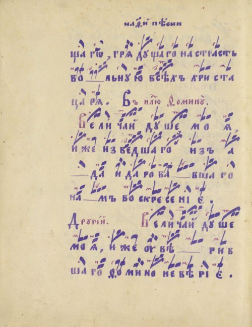 Страница 558