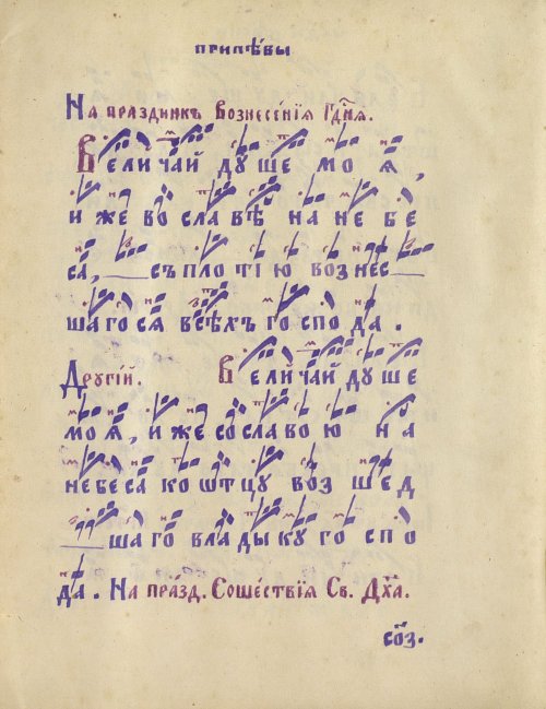 Страница 559
