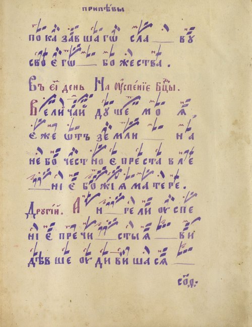 Страница 563