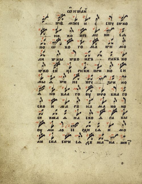 Страница 24