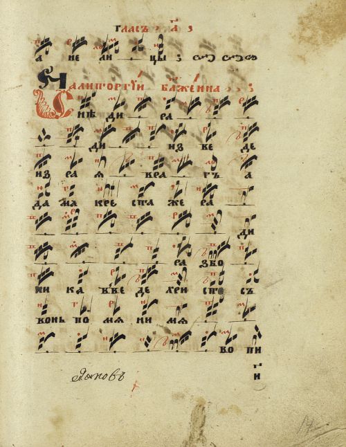 Страница 29