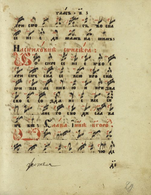 Страница 41