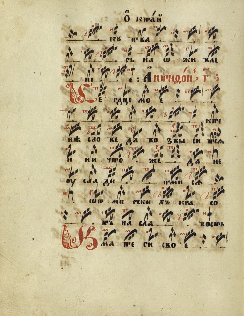 Страница 84