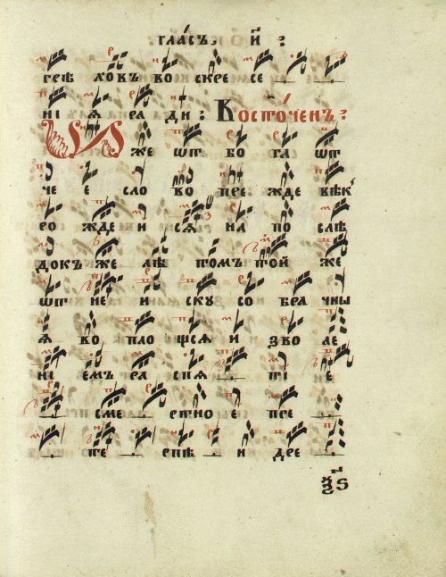Страница 145