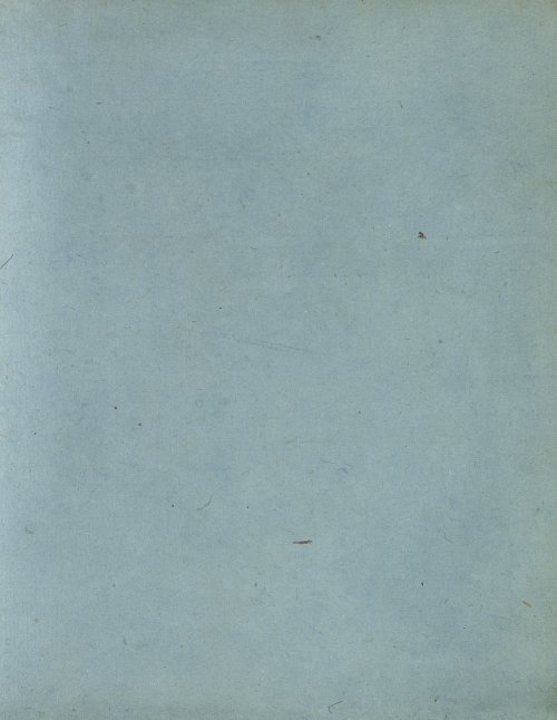 Страница 217