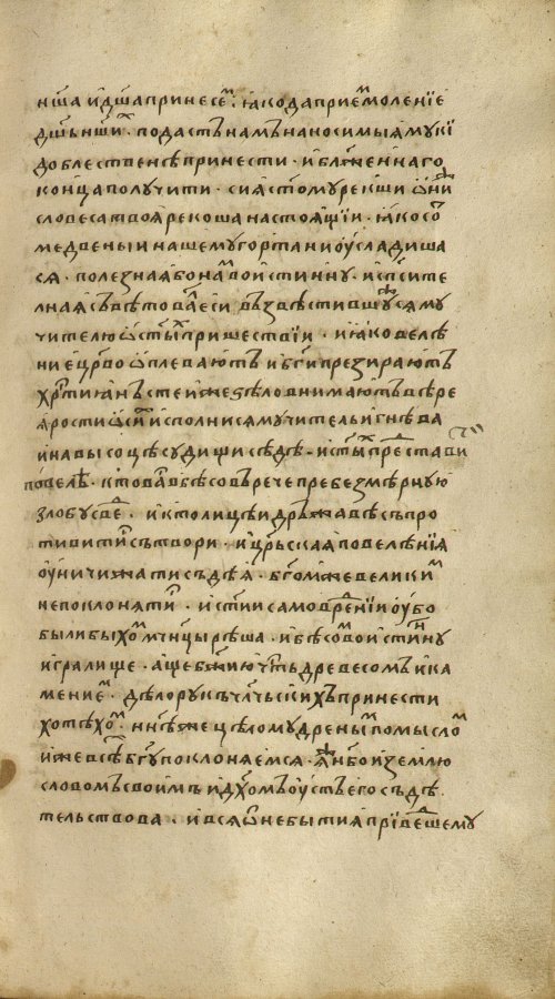 Страница 215