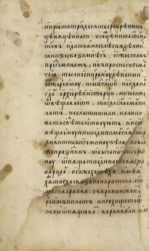 Страница 164