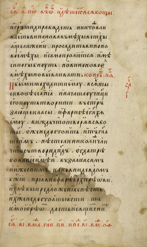 Страница 195