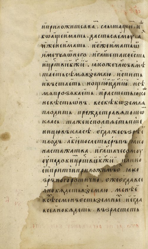 Страница 204