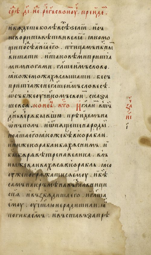 Страница 205