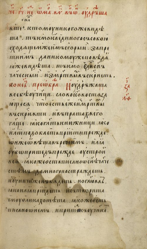 Страница 233