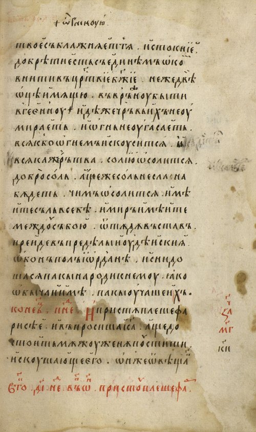 Страница 239