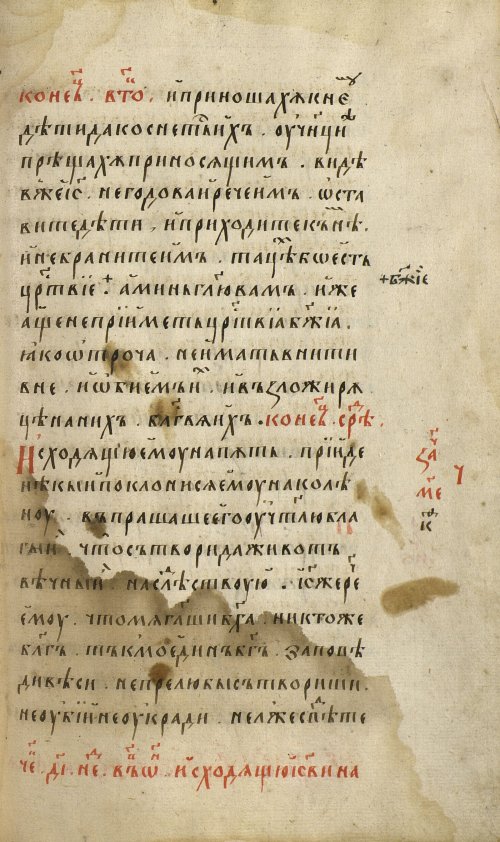 Страница 241