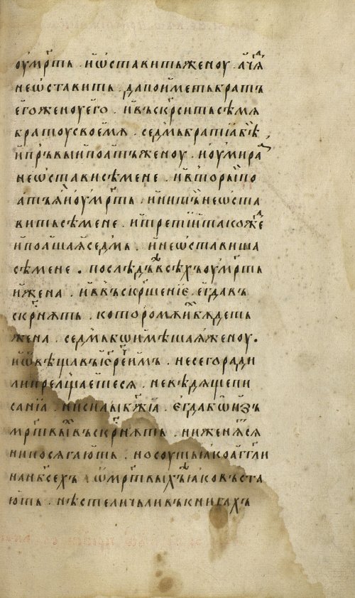Страница 255