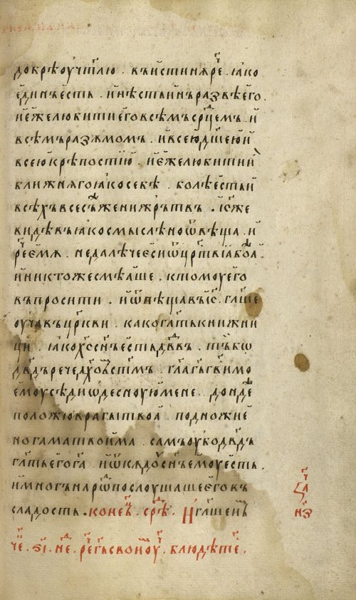 Страница 257