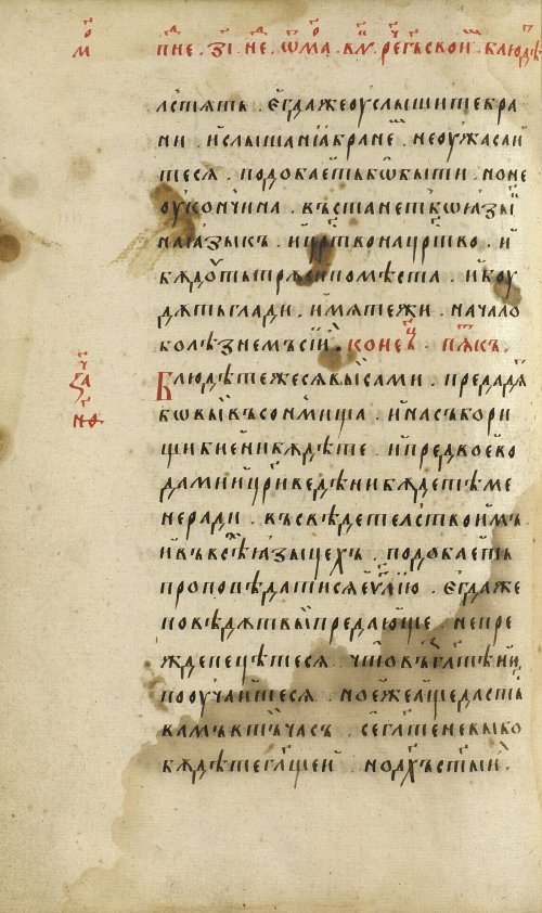 Страница 260