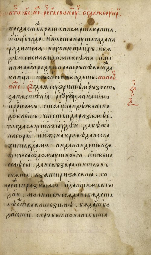Страница 261