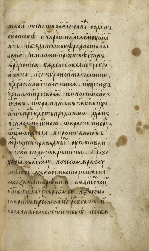 Страница 295
