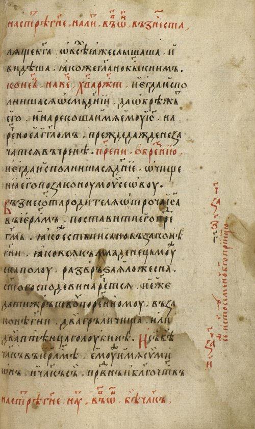 Страница 305