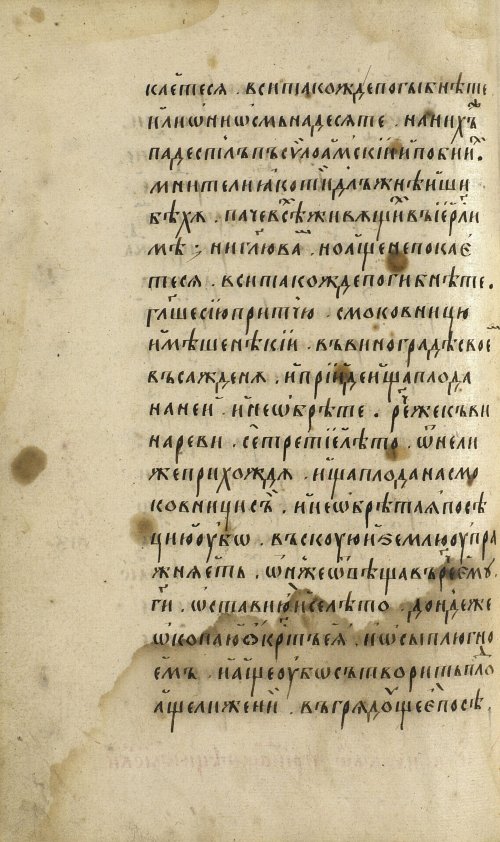 Страница 384