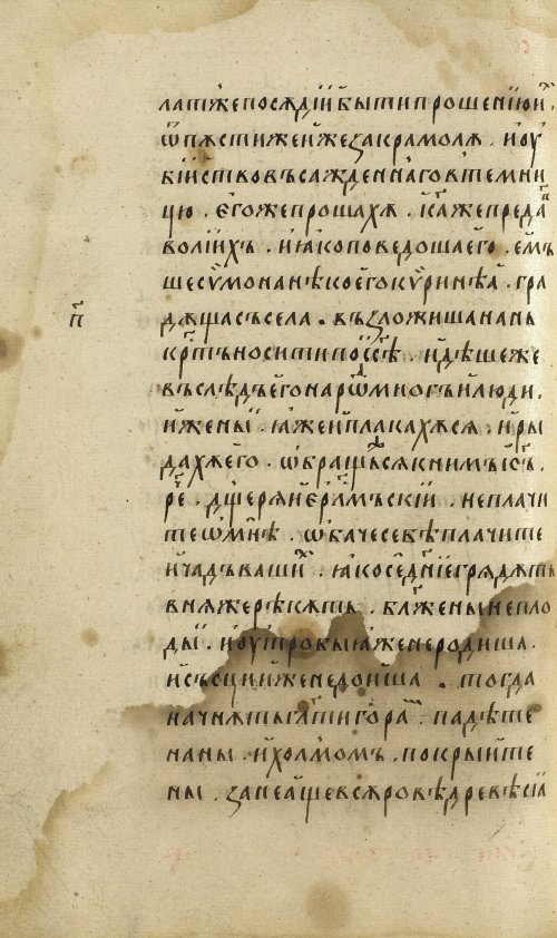 Страница 446