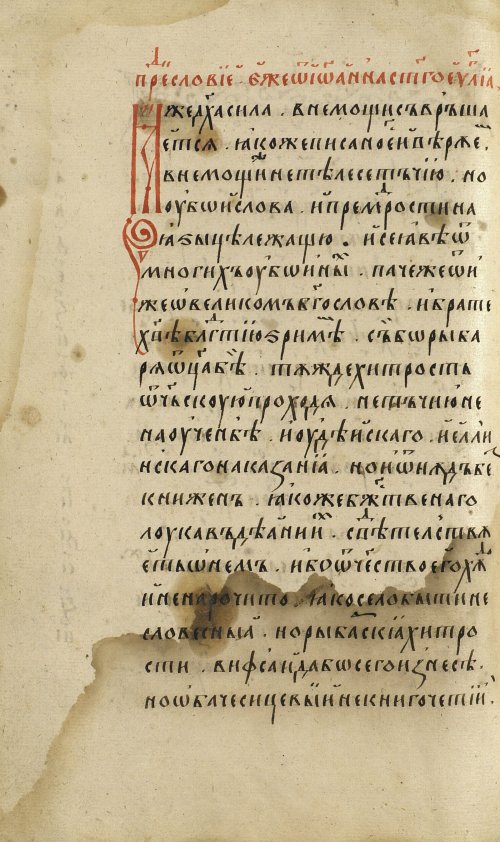 Страница 460