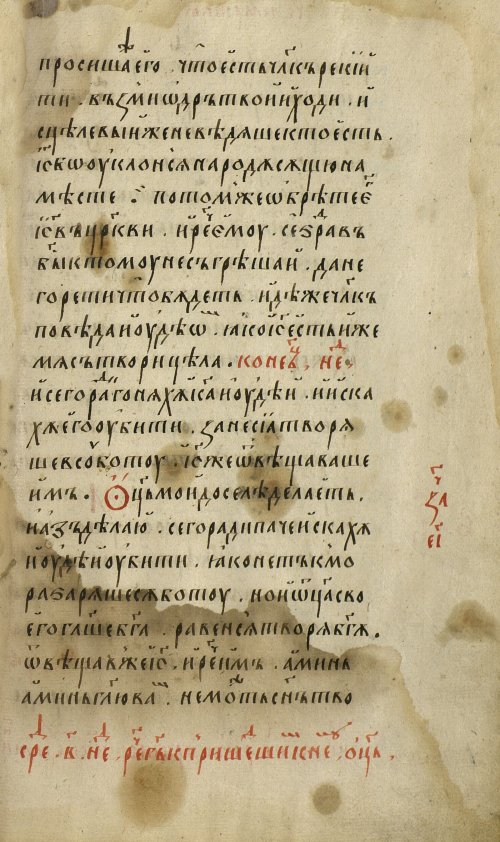 Страница 491