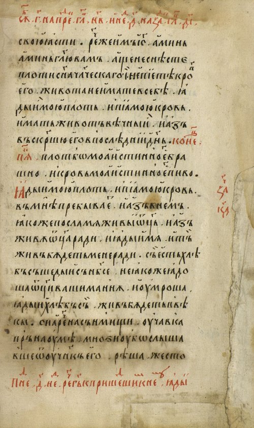 Страница 503