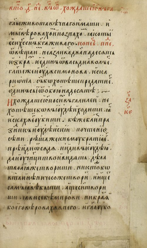 Страница 505