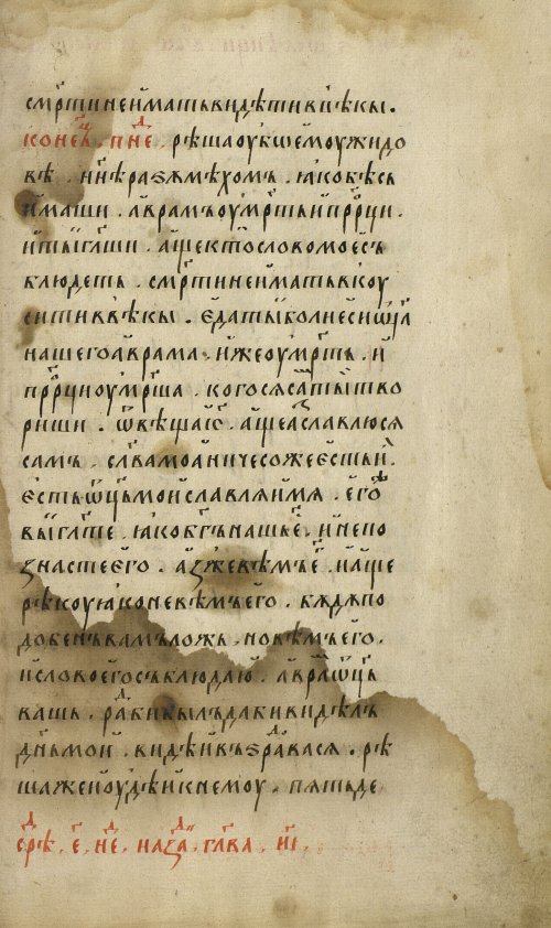 Страница 519